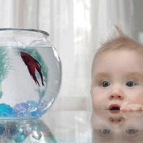 55 Incredible Examples of Underwater Photography 40incredible 55 Incredible Examples of Underwater Photography