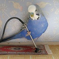 100+ Creative Interior Decorating Ideas 55smashingArtwork 100+ Creative Interior Decorating Ideas