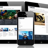 25MobileWordpressThemes AndroidPIT: The Ultimate Android Web Resource