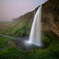 30 Mind Blowing Frog Images By Sakura wonderlandphptography designsmag 30 Mind Blowing Frog Images By Sakura