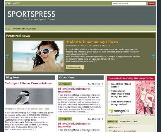 Sportspress-theme