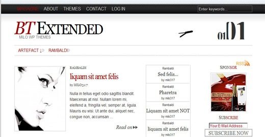 BT-Extended-free-newspaper-style-wordpress-theme- wideget-ready-2009
