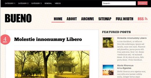 Bueno-Free- premium-magazine-style- wideget-ready -wordpress-theme-2009