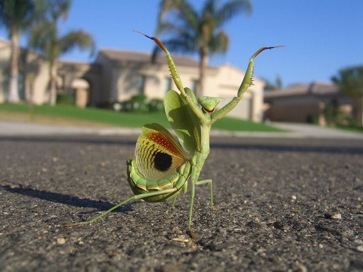 Perfect Camera Clicks - Example of Perfect Photography 1 Perfectly Timmed Photography