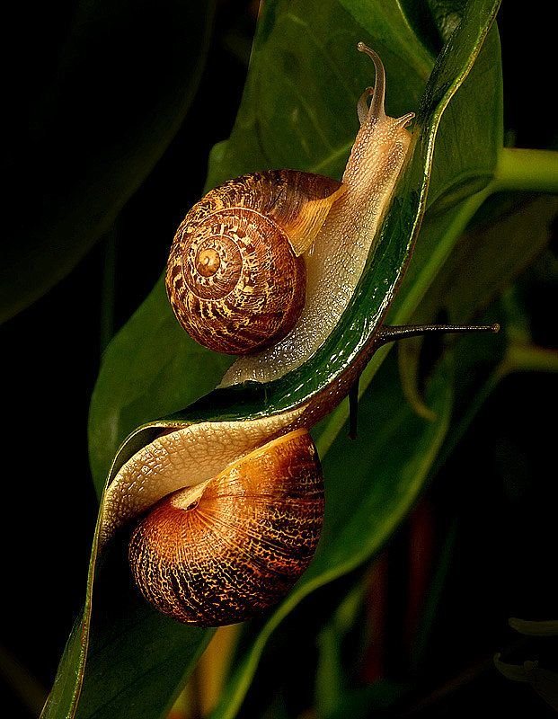 Perfect Camera Clicks - Example of Perfect Photography 4 Perfectly Timmed Photography