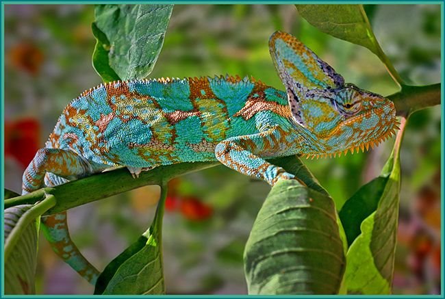 Perfect Camera Clicks - Example of Perfect Photography 5 Perfectly Timmed Photography