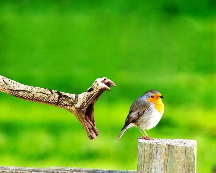 Perfect Camera Clicks - Example of Perfect Photography 13 Perfectly Timmed Photography