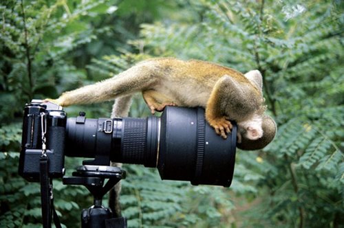 Perfect Camera Clicks - Example of Perfect Photography 24 Perfectly Timmed Photography