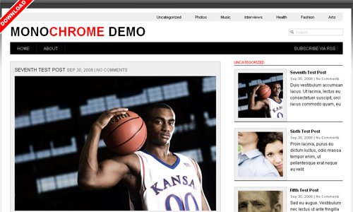 monochrome-gallery-theme