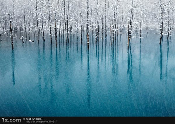 Blue pond & First snow
