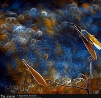 best of one exposure october 2010 Designsmag