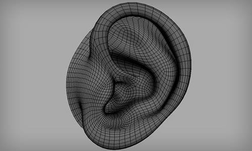 Ear in The Ultimate Collection Of Maya 3D Tutorials