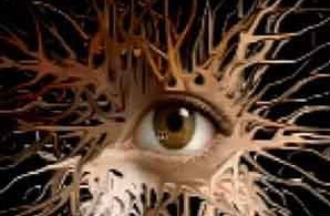 15aftereffectvidotutorials designsmagcom