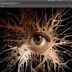 26 Adobe After Effects Tutorials