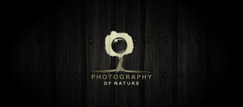 photography of nature