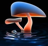 653dWallappers designsamg