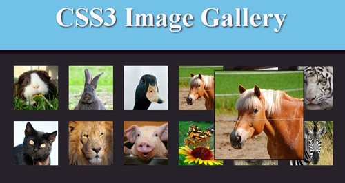 56 Pure Effects CSS to Javascript Alternatives Including Demos - Designs Mag