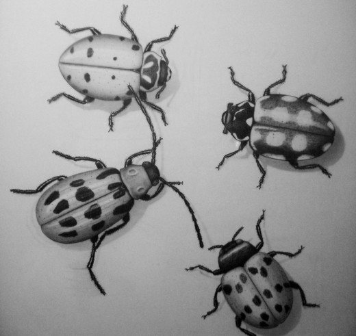 55 Absolutely Amazing Pencil Drawings - Designs Mag