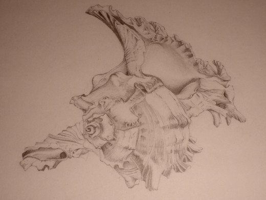 55 Absolutely Amazing Pencil Drawings - Designs Mag