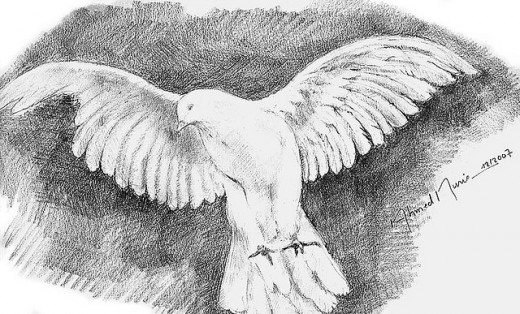 55 Absolutely Amazing Pencil Drawings - Designs Mag