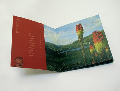 Gorgeous Brochures and Booklets Designs - Designs Mag