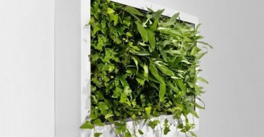 fresh ideas designsmagg