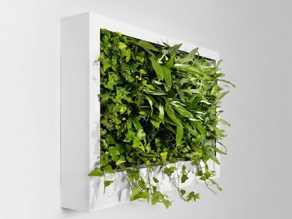fresh ideas designsmagg