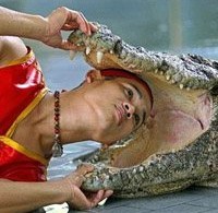 perfectcameraclicksii Designsmag