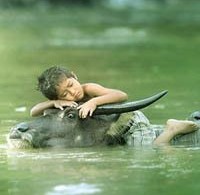 amazingconceptualImages designsmag