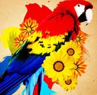 40GIMPTutorials designsmag