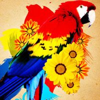 40GIMPTutorials designsmag