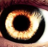 Eye tutorial designsmag