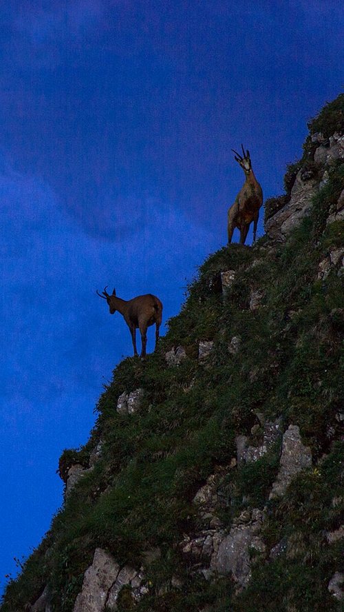 IPhone-5-HD-retina-designsmag-wallpapers