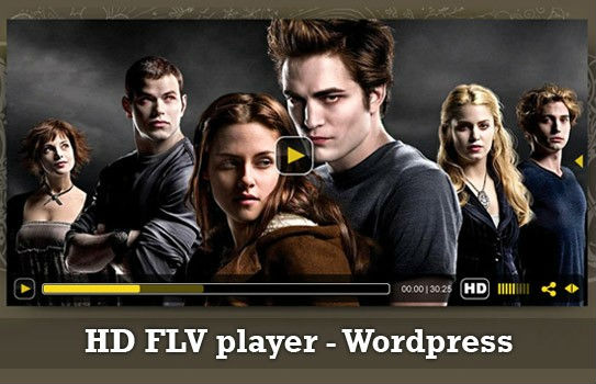 Wordpress HD Flv Player