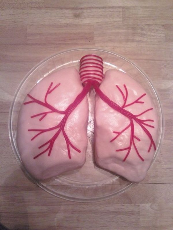 creative cake designs designsmag 12