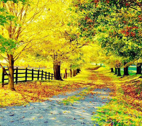 Autumn Expedition