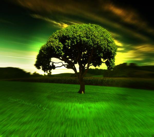 Mystical Nature