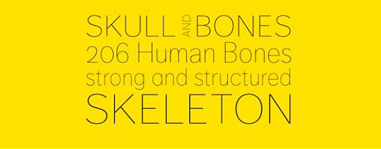 dagny ot thin Free Fonts for Developer and Designers