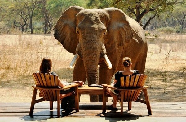 40 Extra Ordinary Examples of Perfectly Timed Photography 2 perfectly-timed-Photography-designsmag-40