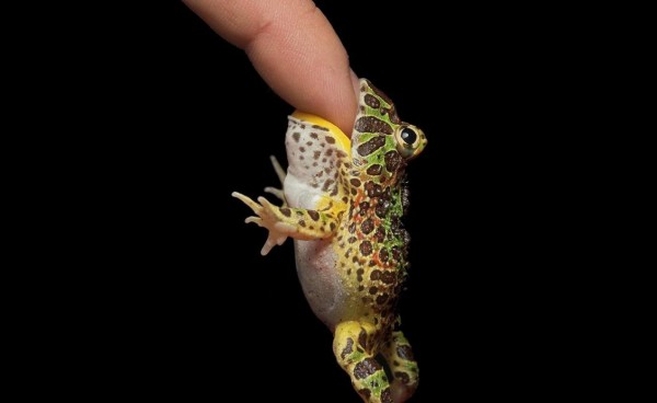 Funny Wallpapers - Designsmag