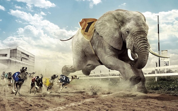 Funny Wallpapers - Designsmag