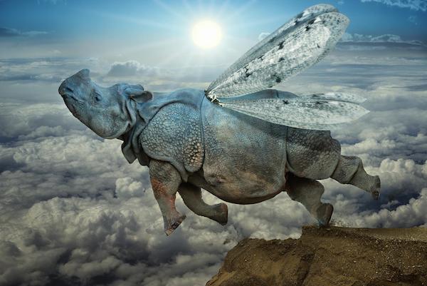 Funny Wallpapers - Designsmag