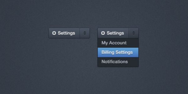 Drop Down Menu