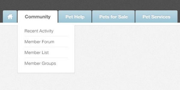 Drop Down Menu