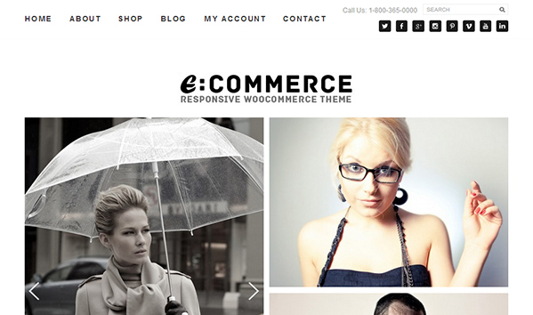 Ecommerce theme Ecommerce theme