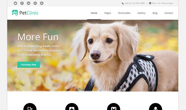 PetClinic PetClinic