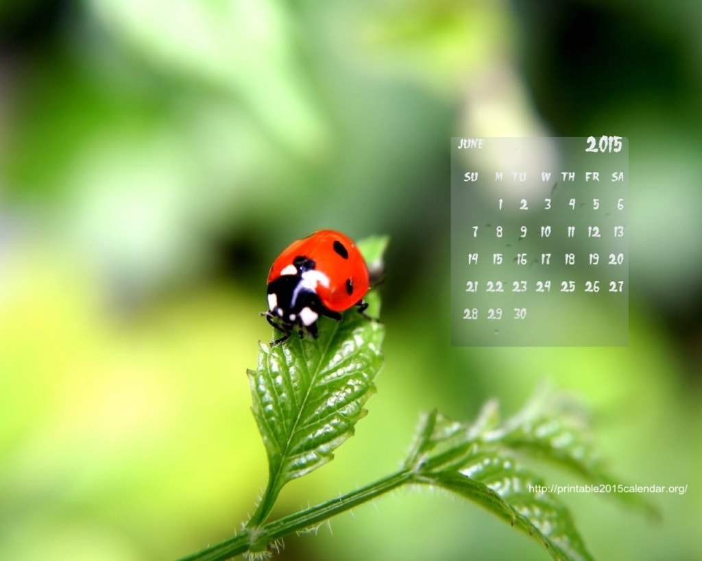 June-Nature-1280x1024_6-1024x819