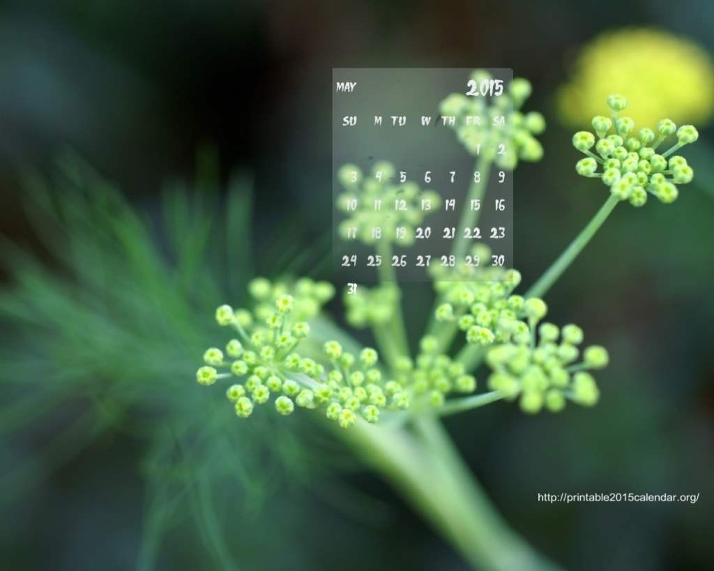 May-2015-Calendar-Wallpaper-1024x819