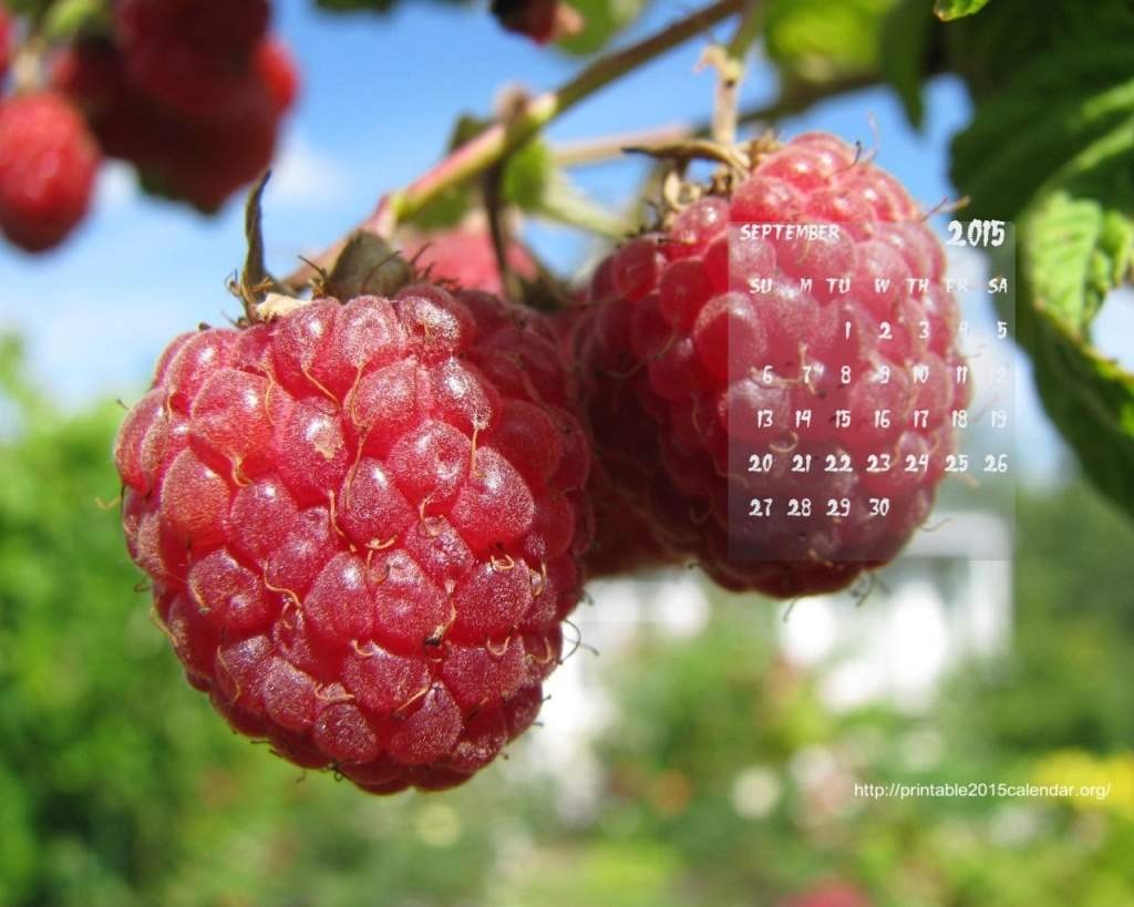September-2015-Calendar-Wallpaper-1024x819