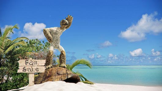 Making of'Turtle Freedom For Sale'